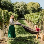 ria zeliskova vinarova zena vino zeliska