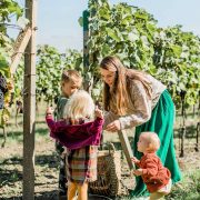 ria zeliskova vinarova zena vino zeliska